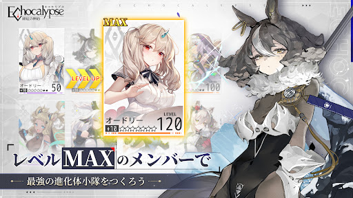 绯色回响国际服