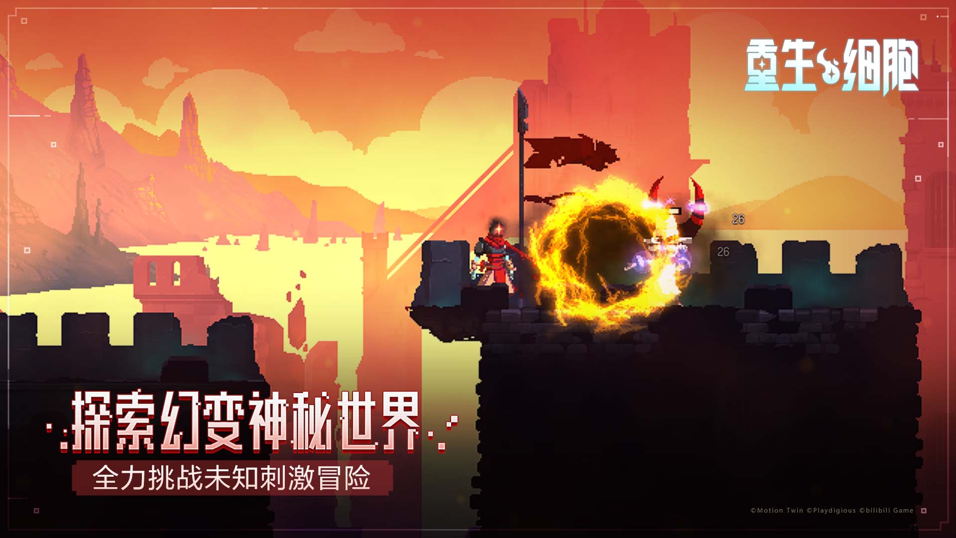 dead cells