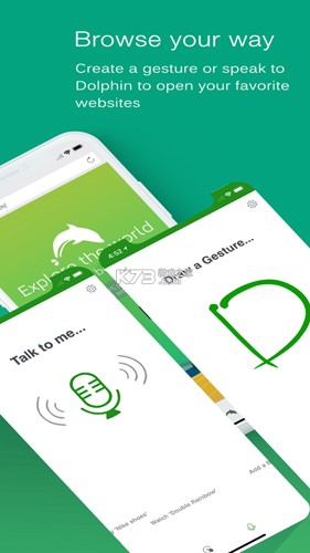 海豚浏览器flash版