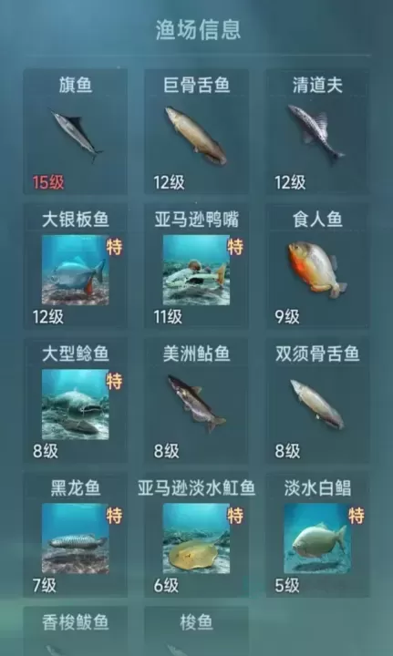 大航海时代传说灵犀版_模拟经营_第10张_175游戏网 大航海时代传说灵犀版_https://m.175yx.com_模拟经营_第10张