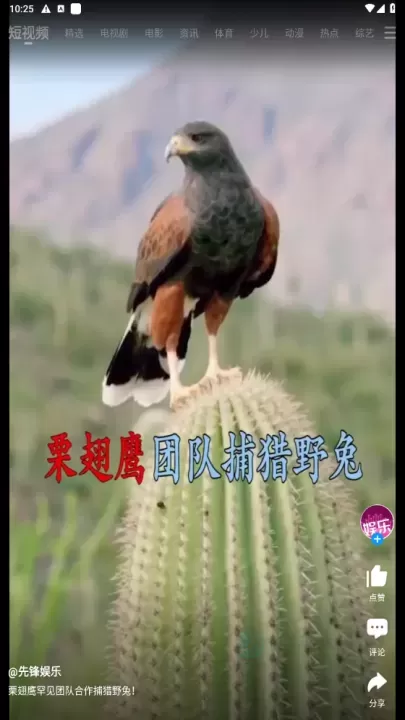 pp视频正版最新版_影音播放_第4张_175游戏网 pp视频正版最新版_https://m.175yx.com_影音播放_第4张