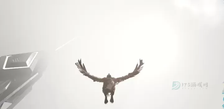 方舟生存进化狮鹫怎么俯冲_游戏攻略_第2张_175游戏网 方舟生存进化狮鹫怎么俯冲_https://m.175yx.com_游戏攻略_第2张