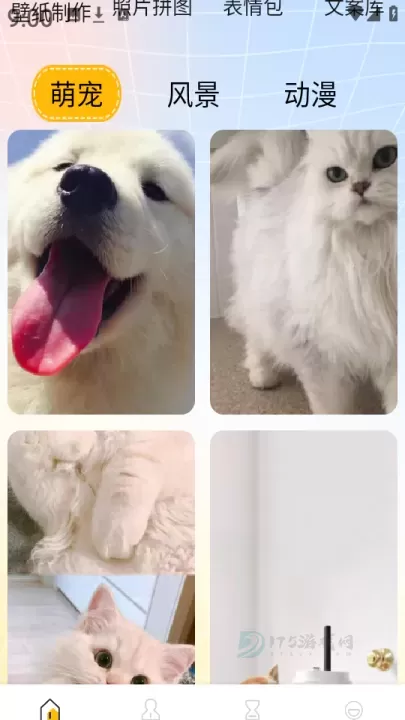 遇榶壁纸_摄影美化_第1张_175游戏网 遇榶壁纸_https://m.175yx.com_摄影美化_第1张