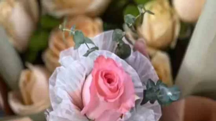 守望先锋游戏好听的网络名字大全_网名素材_第2张_175游戏网 守望先锋游戏好听的网络名字大全_https://m.175yx.com_网名素材_第2张