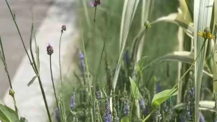 委婉含蓄害羞的游戏网名女生可爱(精选100个)_网名素材_第6张_175游戏网 委婉含蓄害羞的游戏网名女生可爱(精选100个)_https://m.175yx.com_网名素材_第6张