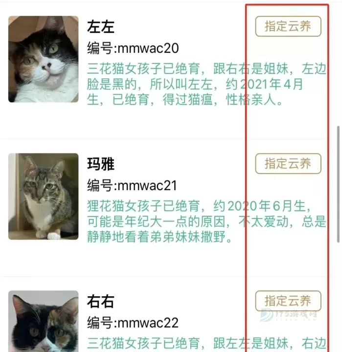 握爪_生活学习_第2张_175游戏网 握爪_https://m.175yx.com_生活学习_第2张